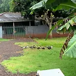 Chacara Ilha Grande
